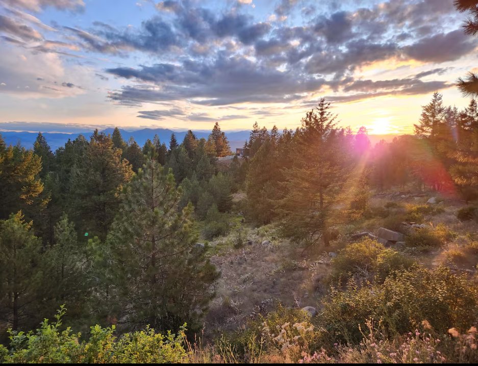 Okanagan sunset over the forest